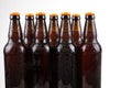 Cold beer bottles Royalty Free Stock Photo