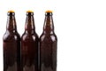 Cold beer bottles Royalty Free Stock Photo