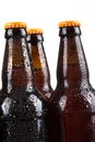 Cold beer bottles Royalty Free Stock Photo