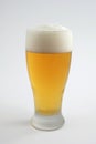 Cold beer in frosted glass