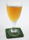 Cold beer in glass