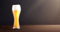 Cold Beer Glass Composition Royalty Free Stock Photo