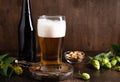 cold beer glass with foam, snacks and beer bottle on dark wooden background Royalty Free Stock Photo