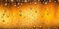 Cold Beer Glass Texture Background, Condensation on Beer Bottle Banner, Golden Bubbles with Copy Space Royalty Free Stock Photo