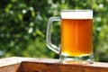 Cold beer mug in sunny summer day Royalty Free Stock Photo