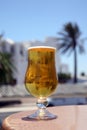 Cold Beer with reflection palm Royalty Free Stock Photo