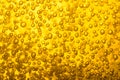 Cold beer texture Royalty Free Stock Photo