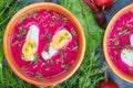 Cold beetroot soup with eggs Royalty Free Stock Photo