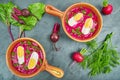 Cold beetroot soup Royalty Free Stock Photo