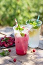 Cold beverage. Refreshing summer drink lemon, refreshing summer drink raspberry with basil and ice Royalty Free Stock Photo