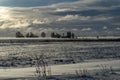 Cold bleak snowy winter landscape