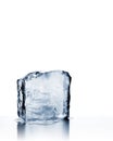 Melting cold blue ice block with reflection on white Royalty Free Stock Photo