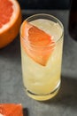 Cold Boozy Grapefruit Gin Radler