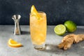 Cold Boozy Rum Anejo Highball Cocktail Royalty Free Stock Photo