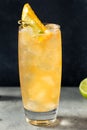 Cold Boozy Rum Anejo Highball Cocktail