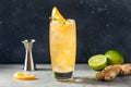 Cold Boozy Rum Anejo Highball Cocktail