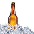 Cold bottle of beer in the ice cubes. Royalty Free Stock Photo