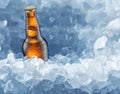 Cold bottle of beer in ice cubes. Food and drink background Royalty Free Stock Photo