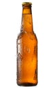 Cold bottle of beer with ice