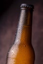 Cold bottle of beer with water droplets Royalty Free Stock Photo