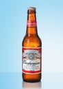 Cold bottle of budweiser beer