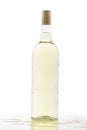 Cold bottle of white wine Royalty Free Stock Photo