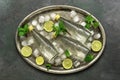 Cold bottled water with ice cubes, lime slices and mint leaves on a metal tray. Summer refreshing drink. Flat lay, overhead Royalty Free Stock Photo
