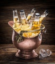 Cold bottles of beer in the brazen bucket. Royalty Free Stock Photo
