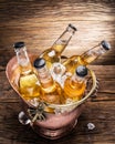 Cold bottles of beer in the brazen bucket. Royalty Free Stock Photo