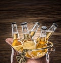 Cold bottles of beer in the brazen bucket. Royalty Free Stock Photo