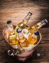 Cold bottles of beer in the brazen bucket. Royalty Free Stock Photo