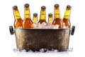 Cold bottles of beer with condensation droplets in the metal bucket with ice isolated on white background Royalty Free Stock Photo