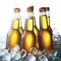 cold bottles of beer in ice isolated on solid white background. ai generative Royalty Free Stock Photo