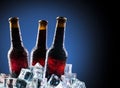 Cold bottles and fresh beer Royalty Free Stock Photo