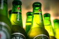 Marinette,WI / U.S.A. - Aug16,2019: Cold bottles of Heineken Beer with drops over green background. Heineken is the flagship produ Royalty Free Stock Photo