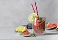 Cold Bright Watermelon Mojito cocktail with mint, lemon slices and drinking straw on light background with place for Royalty Free Stock Photo