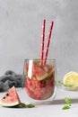 Cold Bright Watermelon Mojito cocktail with mint, lemon slices and drinking straw on light gray background. Vertical Royalty Free Stock Photo