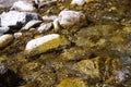 Cold clean moutain river rushing on the stones