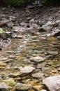 Cold clean moutain river rushing on the stones