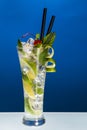 Cold cocktail Royalty Free Stock Photo