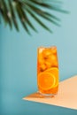 Cold cocktail with orange juice and ice on a light blue background with a leaf of a palm tree. Royalty Free Stock Photo