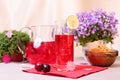 Cold cranberry mors drink