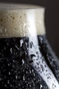 Cold dark beer Royalty Free Stock Photo