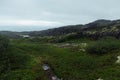 Cold dark green arctic hills with granite rocks with lichen, moss, swamp and grey Arctic Ocean in cloudy weather, arctic landscape