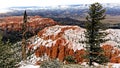 A cold day in Bryce Canyon Royalty Free Stock Photo