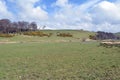 Pleasant scene looking over field to gorse on hillside