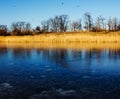 Cold day and first ice on lake. Royalty Free Stock Photo