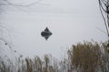 On a cold day in winter, a fisherman on an inflatable boat catches fish Royalty Free Stock Photo