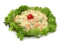 Cold dish mixed salad decorated with crispy lettuc Royalty Free Stock Photo