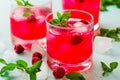 Cold drink with raspberry, mint and ice Royalty Free Stock Photo